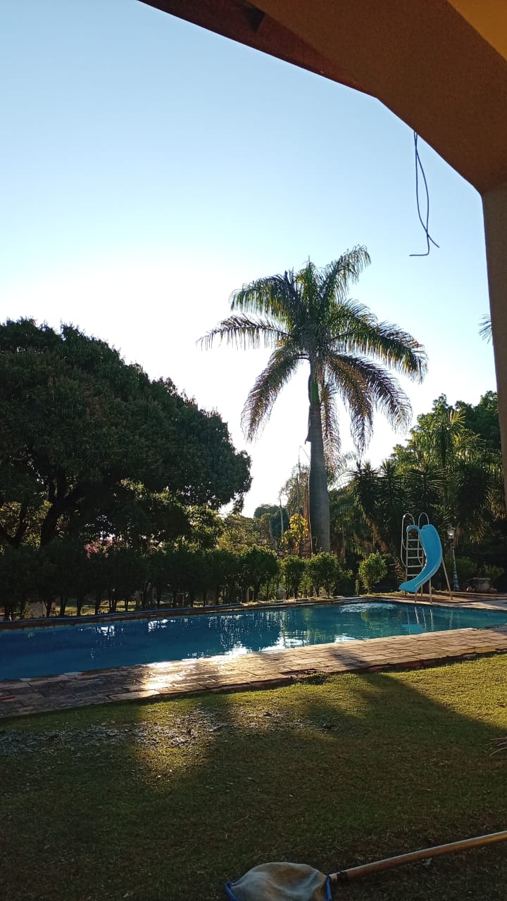 imagem38